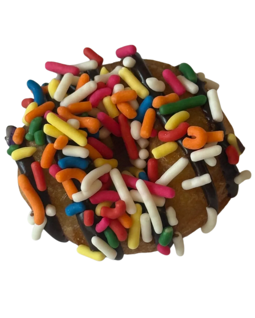 Chocolate mini donut with rainbow sprinkles, fried fresh on site